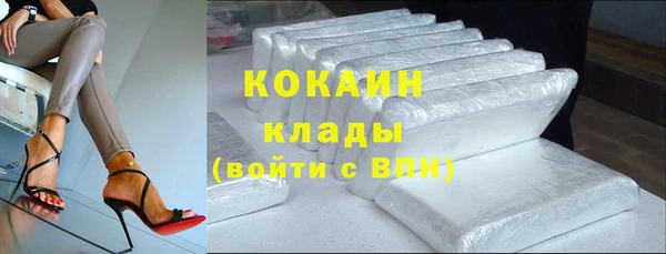 СК Алексин