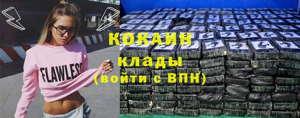 2c-b Алзамай
