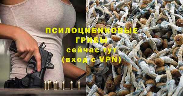 СК Алексин