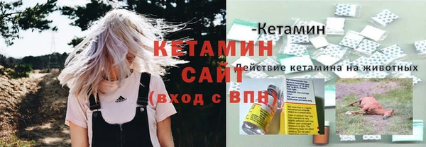 СК Алексин