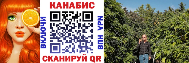 МАРИХУАНА планчик  Ачхой-Мартан 